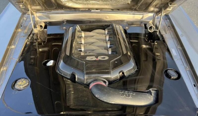 
								Used 1969 Ford Mustang full									